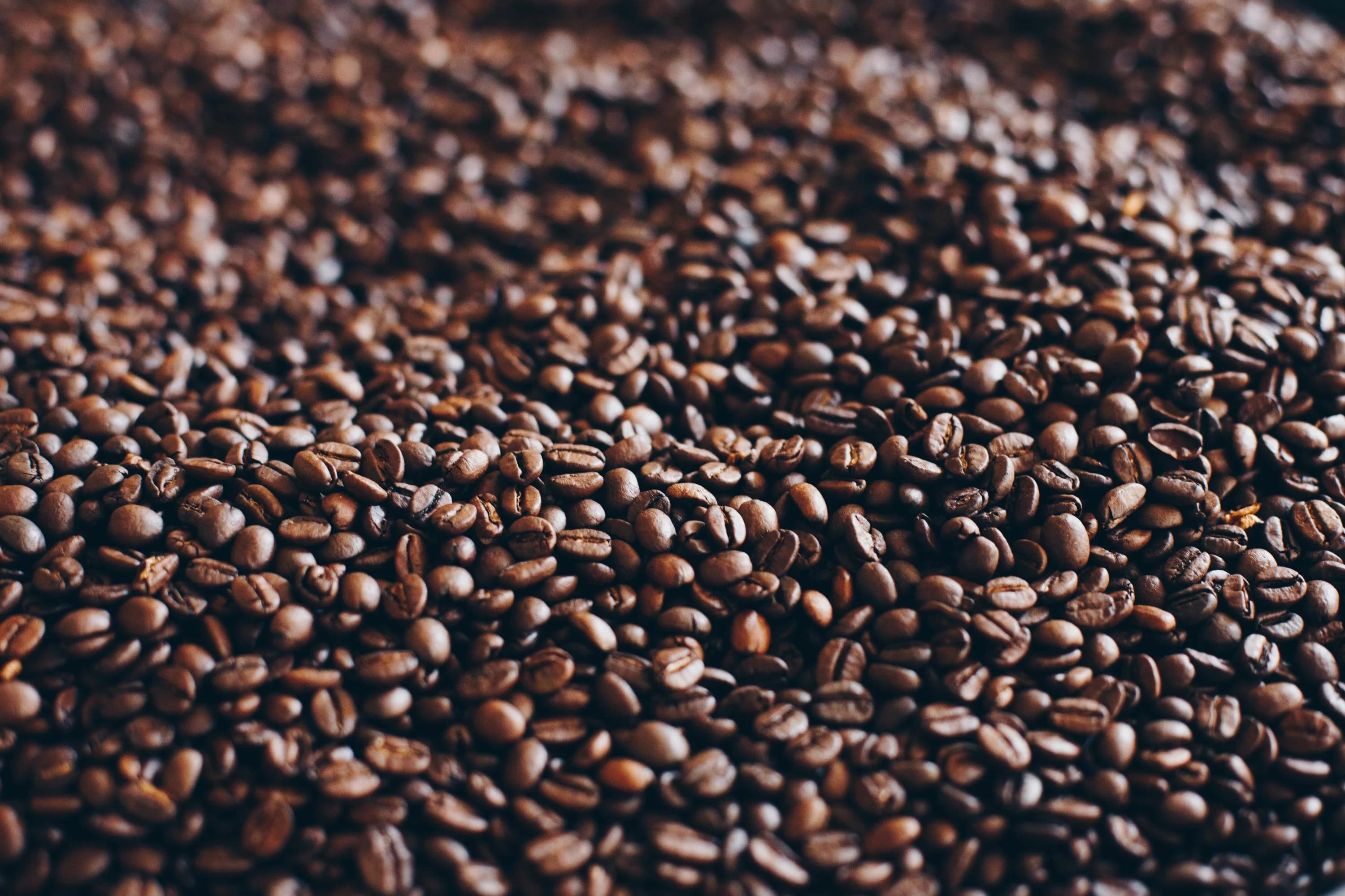 Arabica vs Robusta: Understanding Coffee Beans